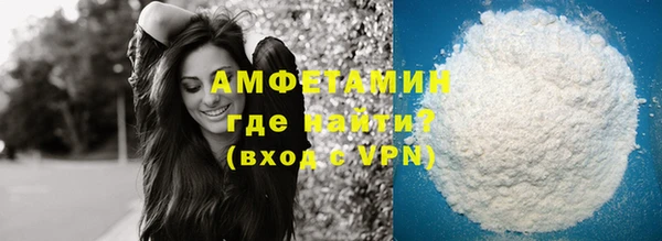 прущие грибы Гусев