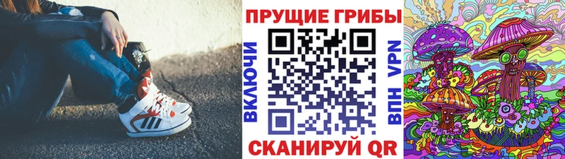 это Telegram  Ростов  Псилоцибиновые грибы Cubensis 